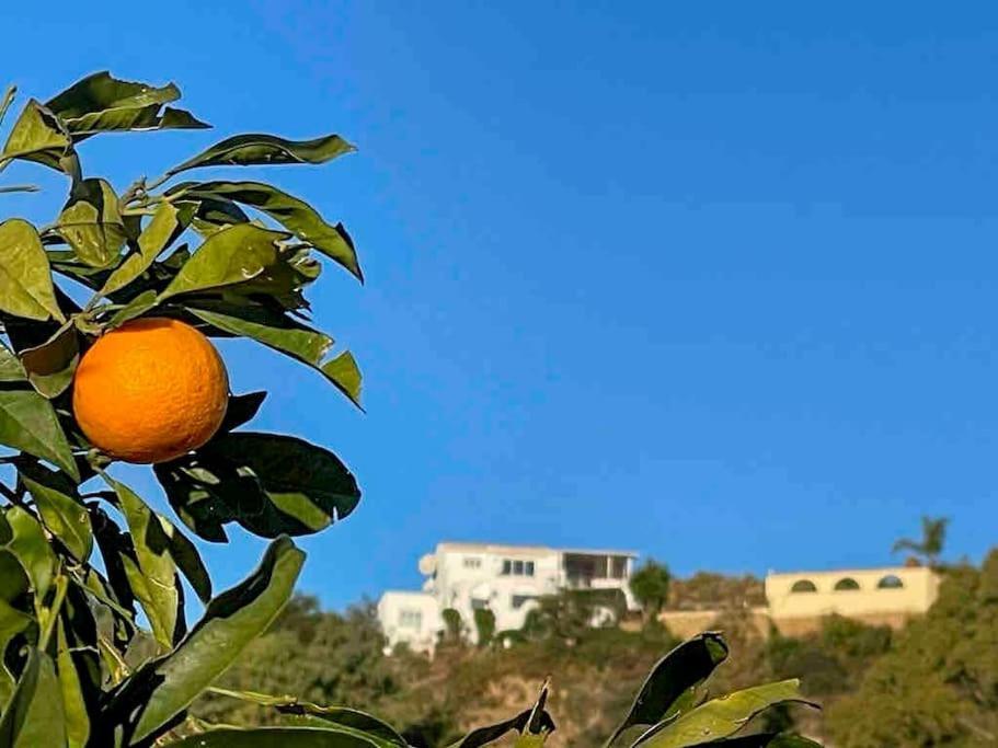 Villa Los Faramondos Naturehouse Туре Екстериор снимка